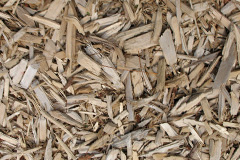 biomass boilers Carterspiece