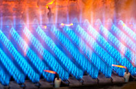 Carterspiece gas fired boilers